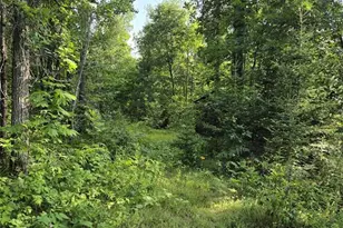 30485 White Tail Dr, Danbury, WI 54830 - Photo 20