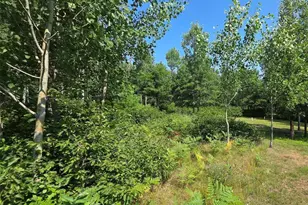 7214 W Old Bass Lake Rd, Minong, WI 54859 - Photo 6