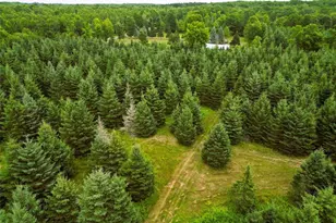 W9603 Ducommun Rd, Ladysmith, WI 54848 - Photo 42
