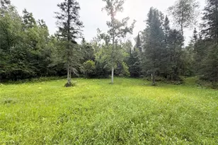 W13159 Sieck Rd, Bruce, WI 54819 - Photo 44