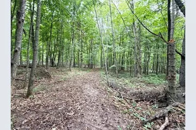 W13159 Sieck Road, Bruce, WI 54819 - Photo 38