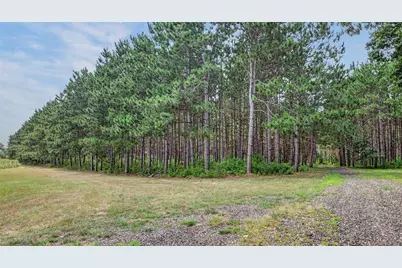 N8481 Kleba Road, Hixton, WI 54635 - Photo 44
