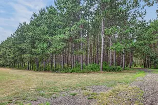 N8481 Kleba Rd, Hixton, WI 54635 - Photo 44