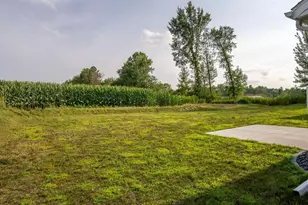 447 E Hartford St, Cadott, WI 54727 - Photo 4
