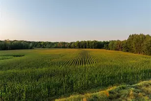 W13369 S Town Line Rd, Gilman, WI 54433 - Photo 14
