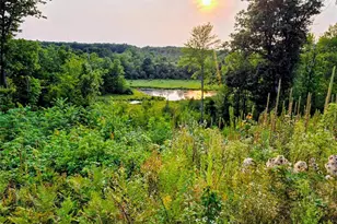 N 1335 Pine Grove Rd, Sarona, WI 54870 - Photo 50