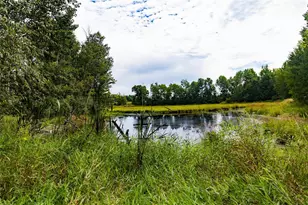 N440 10 Mile Rd, Rusk Township, WI 54728 - Photo 60