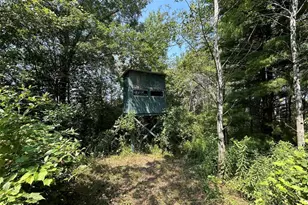 9650 Hwy 53, Fall Creek, WI 54742 - Photo 54
