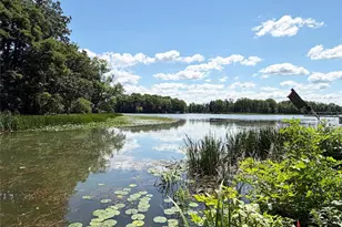 1105 Bayview Ave, Rice Lake, WI 54868 - Photo 4