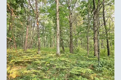 N8356 Lincoln Lake Road, Trego, WI 54888 - Photo 30