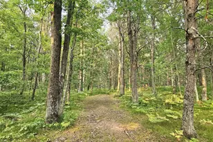N8356 Lincoln Lake Rd, Trego, WI 54888 - Photo 26