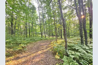 N8356 Lincoln Lake Road, Trego, WI 54888 - Photo 28