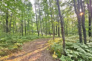 N8356 Lincoln Lake Rd, Trego, WI 54888 - Photo 28