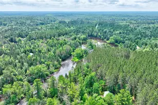 9146N Chippewa Pines Way, Winter, WI 54896 - Photo 46