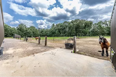 W15236 Taylor Road, Taylor, WI 54659 - Photo 14