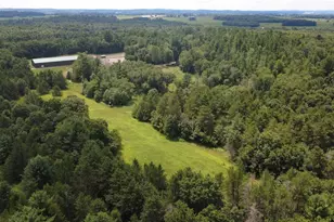 W15236 Taylor Rd, Taylor, WI 54659 - Photo 38