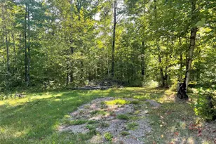 7154 W McDermott Rd, Winter, WI 54896 - Photo 38