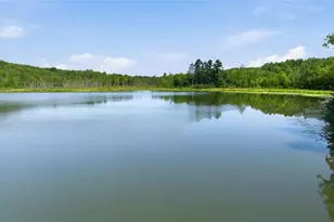 2979 Co Hwy F, Birchwood, WI 54817 - Photo 60