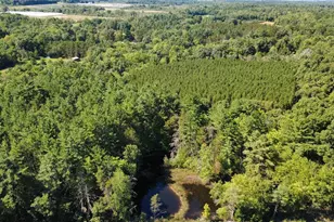 101 Old Hwy 12, Merrillan, WI 54754 - Photo 20