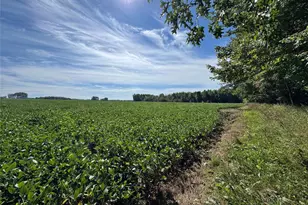 233482 Corinth Rd, Athens, WI 54411 - Photo 6