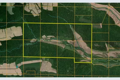W1310 Earney Road, Alma, WI 54610 - Photo 48