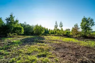 2569 12 3/4 Ave, Cameron, WI 54822 - Photo 38