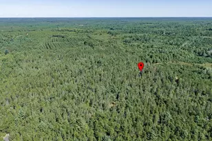 S10460 Black Creek Rd, Fairchild, WI 54741 - Photo 46