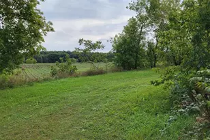 3585 Hwy 49, Rosholt, WI 54473 - Photo 10