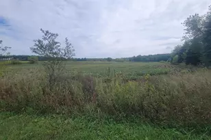 3585 Hwy 49, Rosholt, WI 54473 - Photo 18