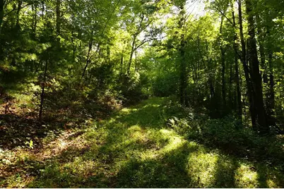 N9105 Flood -- Lot 5 Road, Adams, WI 54615 - Photo 14