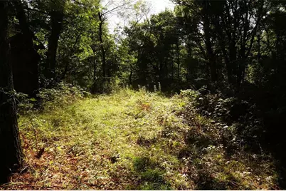 N9105 Flood -- Lot 5 Road, Adams, WI 54615 - Photo 6