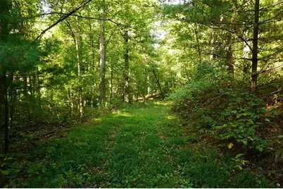 N9105 Flood -- Lot 5 Road, Adams, WI 54615 - Photo 12