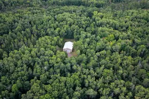 W3245 County Hwy, Springbrook, WI 54875 - Photo 6