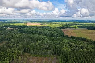 W3245 County Hwy, Springbrook, WI 54875 - Photo 32