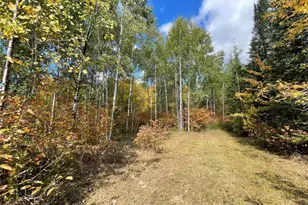 3674 W County Hwy W, Winter, WI 54896 - Photo 12