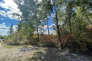 3674 W County Hwy W, Winter, WI 54896 - Photo 14
