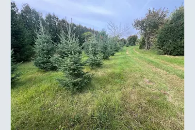 13941 98th Avenue, Eagle Point, WI 54729 - Photo 42
