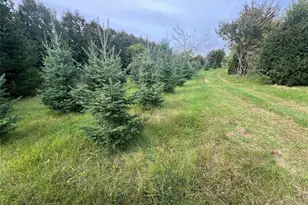 13941 98th Ave, Eagle Point, WI 54729 - Photo 42