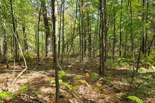S10130 County Road H, Fairchild, WI 54741 - Photo 40