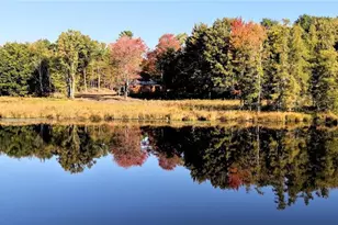 N 3368 Sawdust Rd, Bruce, WI 54819 - Photo 48