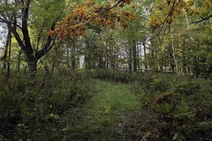 N 3368 Sawdust Rd, Bruce, WI 54819 - Photo 28