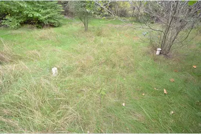 N47414 County Road Y, Eleva, WI 54738 - Photo 50