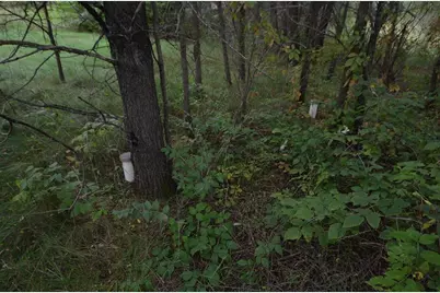 N47414 County Road Y, Eleva, WI 54738 - Photo 22