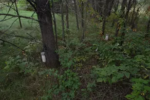 N47414 Co Rd Y, Eleva, WI 54738 - Photo 22