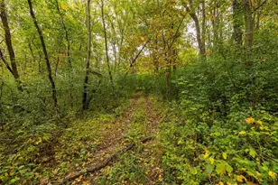 24657 Norway Valley Rd, Arcadia, WI 54612 - Photo 10