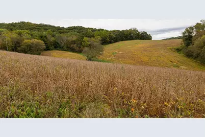 24657 Norway Valley Road, Arcadia, WI 54612 - Photo 8