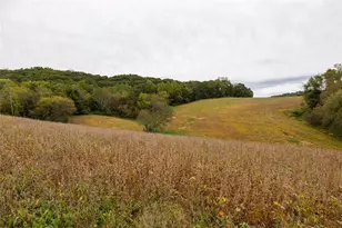 24657 Norway Valley Rd, Arcadia, WI 54612 - Photo 8