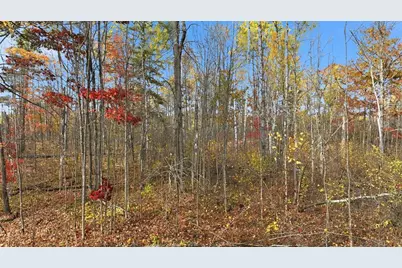 6558 W Hunter Lake Road, Winter, WI 54856 - Photo 46