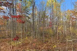 6558 W Hunter Lake Rd, Winter, WI 54856 - Photo 46