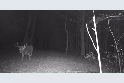 43167 Guthrie Drive, Gays Mills, WI 54631 - Photo 26